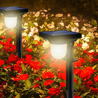 Lot de Deux Éclairages Extérieur LED avec Capteur de Mouvement à Énergie Solaire dans des fleurs