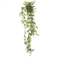 Fausse Plante Tombante en Pot Réaliste sur fond blanc