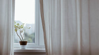 Une fenetre avec une plante posée sur le rebord et des rideaux blancs devant.