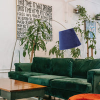 Abat Jour Chambre Décoratif en Velours dans une pièce avec un canapé vert et des plantes sur fond blanc