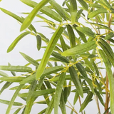 Bambou Artificiel en pot de Style Réaliste