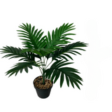 Fausse Plante Extérieur Décorative de Style Tropical sur fond blanc