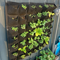 Potagers Verticaux Noirs et Muraux de Quarante-Neuf Poches